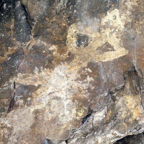 Alpes-Maritimes: Neolithic rock paintings discovered in Valdeblore