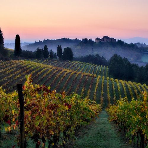 Autumn in Tuscany: 5 things to do on site.