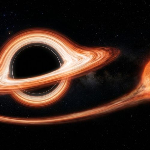 Black holes: understanding the most fascinating mystery of the universe