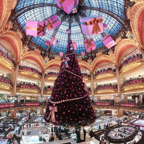 Christmas travel: where to see the most beautiful Christmas trees in the world?