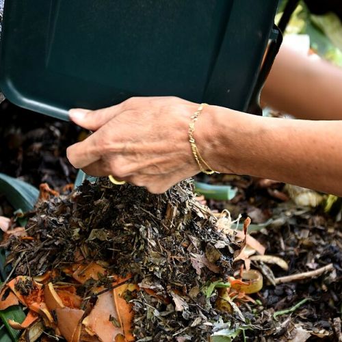 Compost: How to Avoid Bad Smells and Insects?