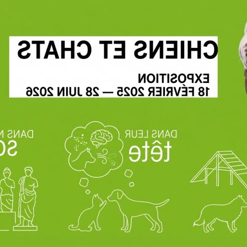 Dogs & Cats: The Irresistible Exhibition that Dissects (and Defurs) Our Four-Legged Companions at the City of Science