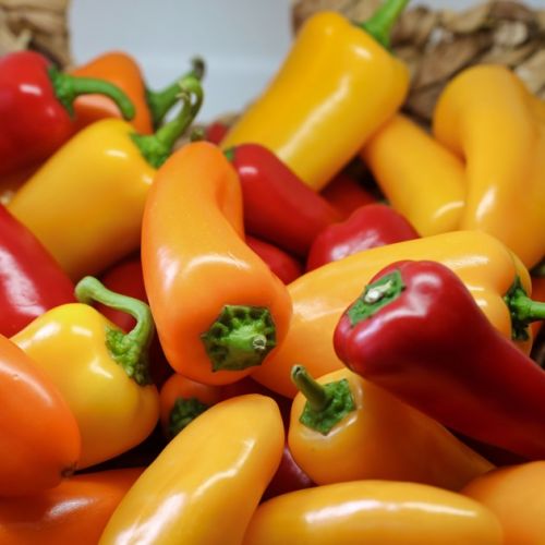 Garden: 5 unusual facts about bell peppers
