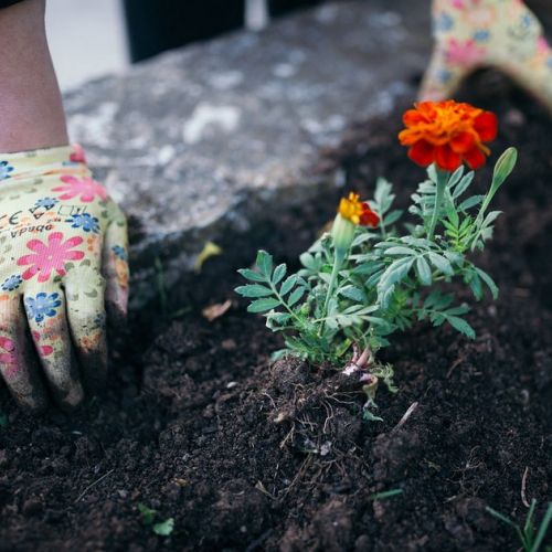 Garden: how to avoid hand accidents?