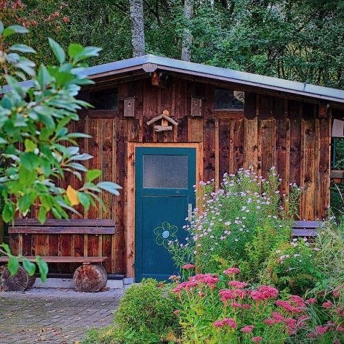 Garden shed: how to choose it in 5 questions