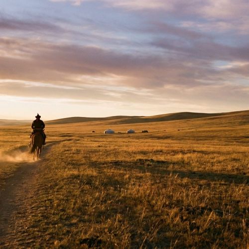 Genghis Khan: how a steppe leader built the largest land empire in history.