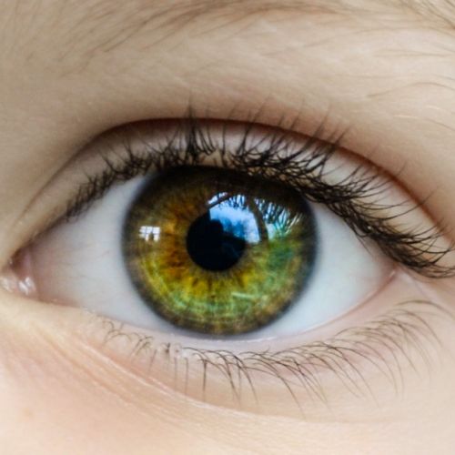 Having your iris photographed: a visual trend that's truly eye-catching.