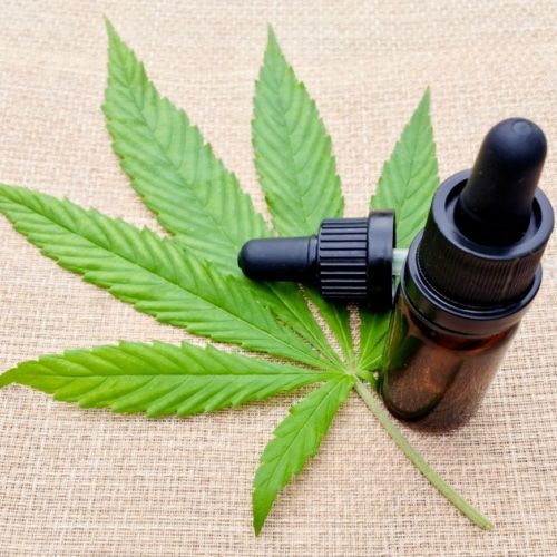 Hemp in cosmetics: a new trendy ingredient