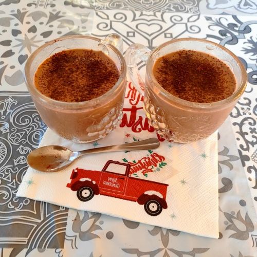 Hot chocolate with coconut milk: a vegan recipe