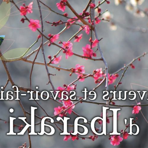 Ibaraki: Flavors, Expertise, and Landscapes a 45-Minute Drive from Tokyo