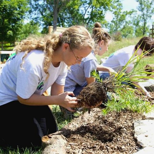 Job: The boom of landscaping professions.