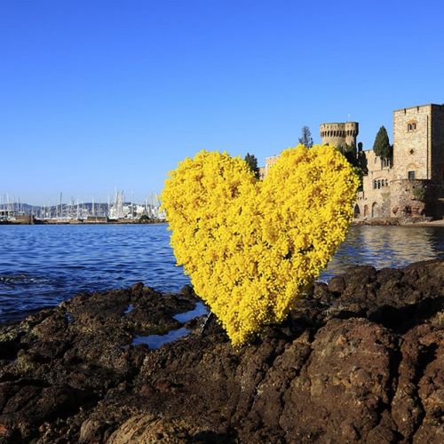 Mandelieu: a romantic destination for Valentine's Day