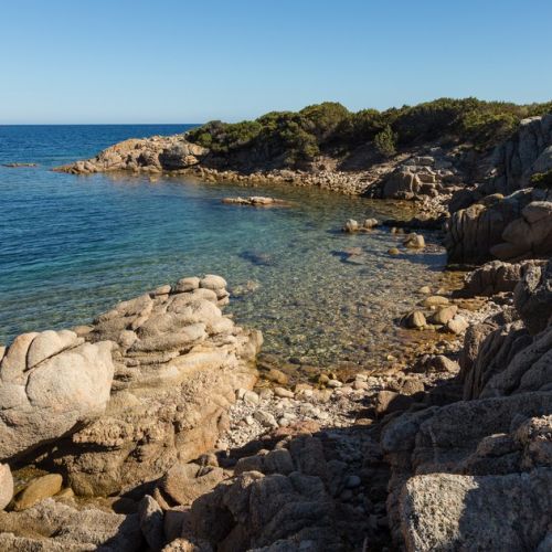 Marine heatwave: the Mediterranean Sea beats temperature records