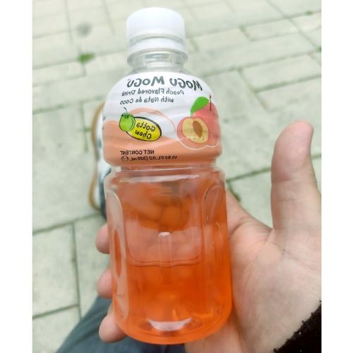 Mogu mogu: all about the new trendy drink