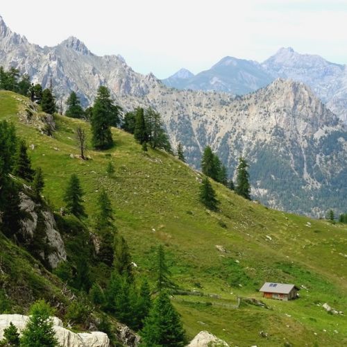 Mountain in summer : discover the Val d'Escreins