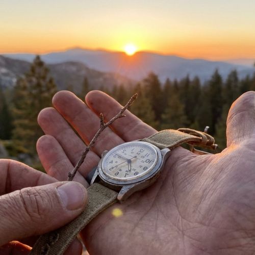 Navigating Without a Compass: 5 Tested and Approved Natural Methods
