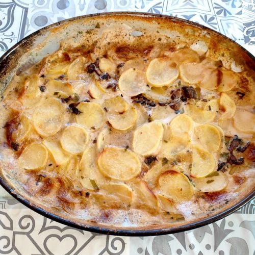 Potato and mushroom gratin: an easy recipe