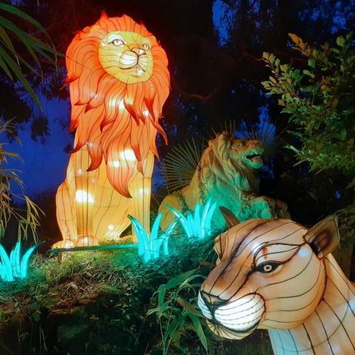 The Animals of Light: a unique light show in Brittany