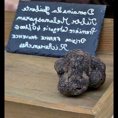 The Ban des truffes : a festive and gourmet event in Richerenches