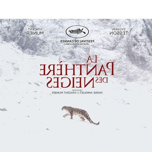 The Snow Panther : the film event directed by Vincent Munier