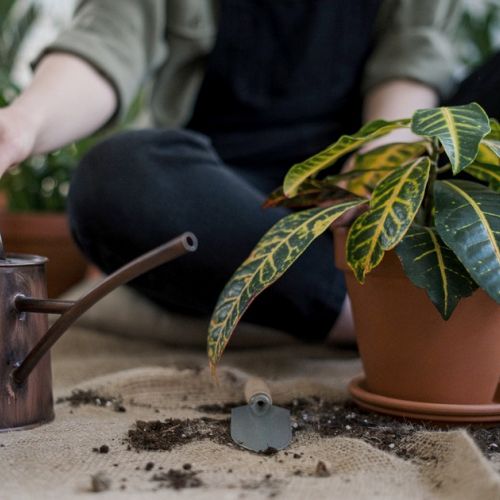 The watering gel to water plants during vacations.