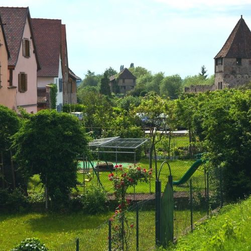 Tourism Alsace : 5 things to see in Bergheim