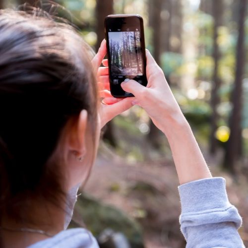 Vacation Photos: 5 Tips for Saving Photos
