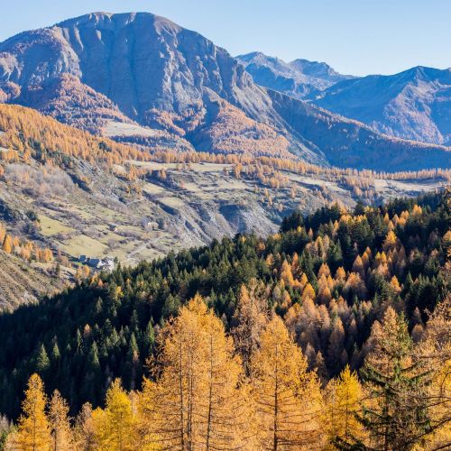 Val d'Allos in autumn: when the mountains are adorned with gold and gentleness