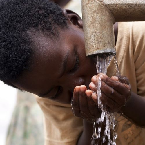 World Water Day: 5 gestures to preserve this resource.