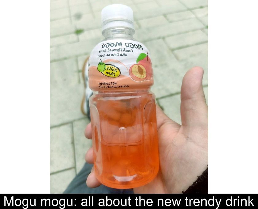 Mogu mogu: all about the new trendy drink