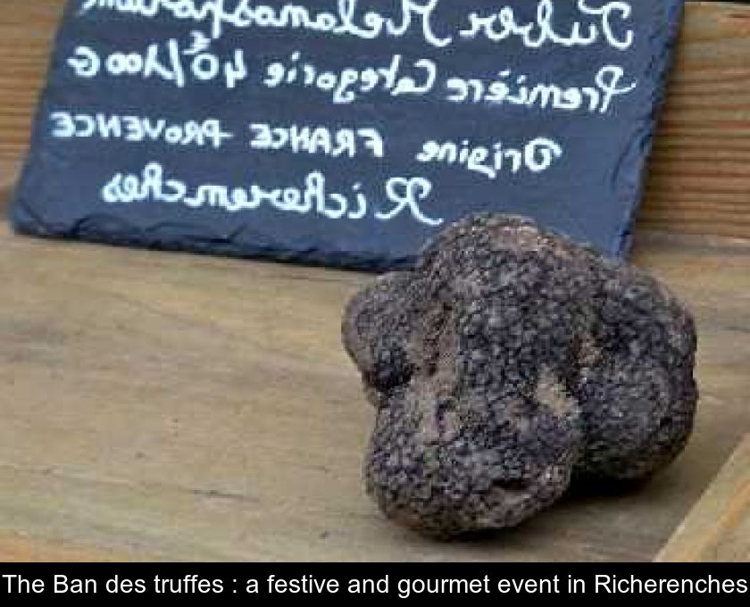 Truffes noires Tuber Melanosporum Richerenches